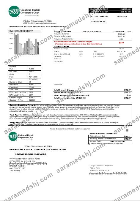USA Craighead Electric business utility bill template in Word and PDF formats